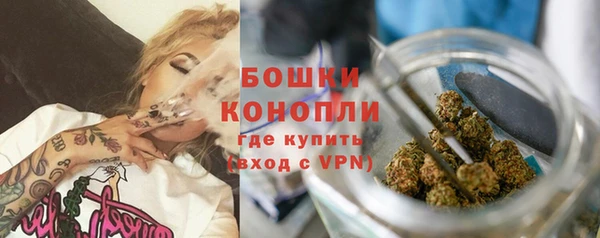 винт Верея