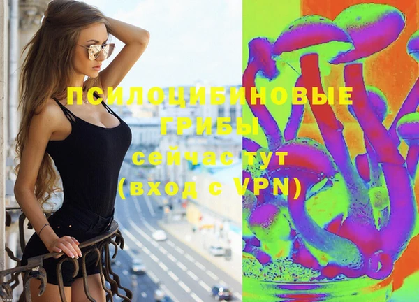 ешки Верхний Тагил