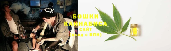 винт Верея