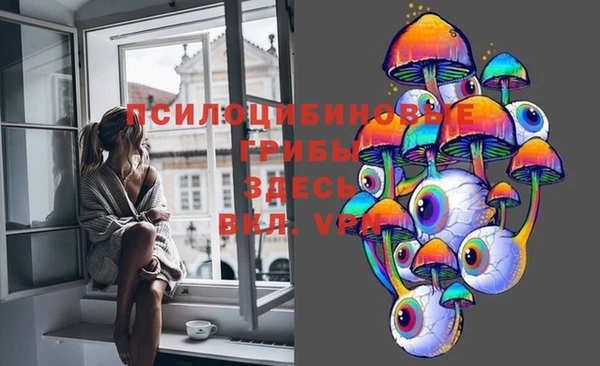 винт Верея