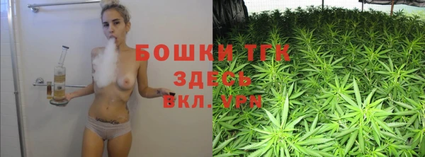 ешки Верхний Тагил